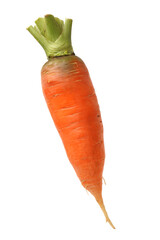 Fresh carrot on a white background