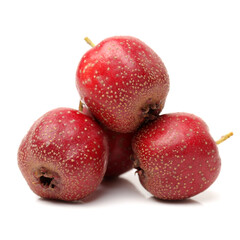 Hawthorn on a white background