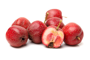 Hawthorn on a white background