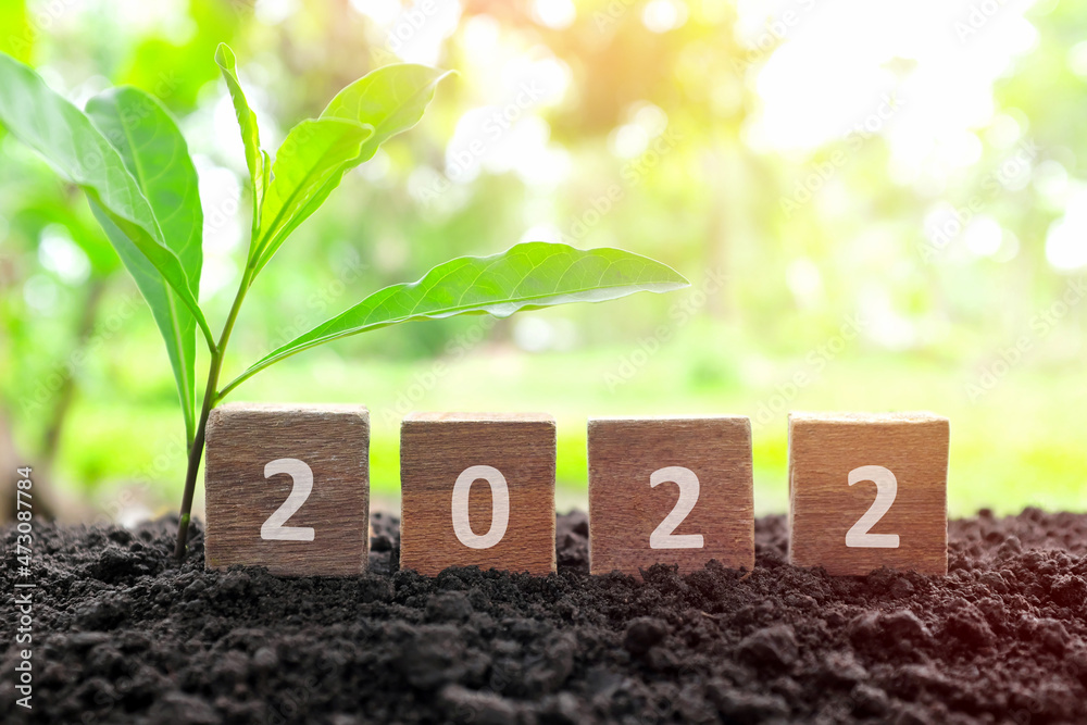 Poster Year 2022 in wooden blocks cubes with growing plant. New year, hope, hello and brighter 2022 concept.	