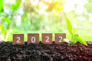 Year 2022 in wooden blocks cubes with growing plant. New year, hope, hello and brighter 2022 concept.	