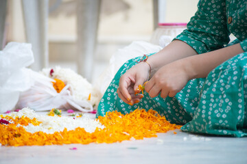 young indian woman's hands tearing jasmine flowers so the petals can be used for decoration,...