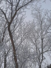 Природа,времена года.