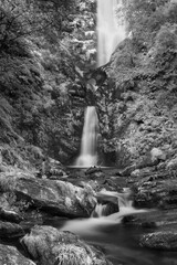 Black and white Stunning long exposure landscape early Autumn image of Pistyll Rhaeader waterfall in Wales, the tallest waterfall in UK