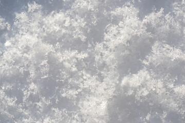 Snow background. Snow texture, Top view of the snow. Texture for design. Snowy white texture.