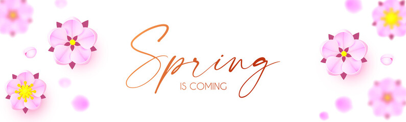 Spring is comming. Cute flower design. Apple tree and sakura blossom