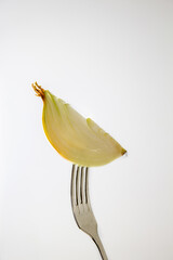 Onion on a fork, close-up. On white background. Creative