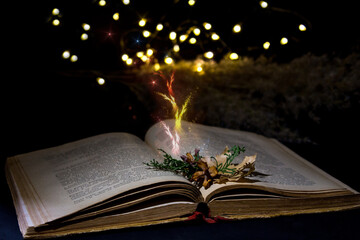 Opened magic book with magic light on a dark background, invitation to study literatures. The magic of reading or bible and religion. Concept of religion. Christmas fairy-tale