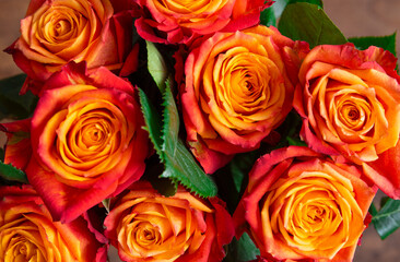 Fresh bright red-yellow roses. Background from flowers. Holiday concept. View from above. Selective focus