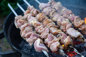 Fresh raw shish kebab, strung on skewers and put on red-hot coals. Juicy turkey meat is being cooked on the backyard of country house. Family barbeque