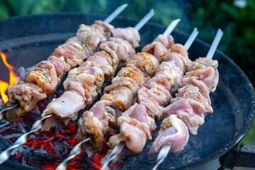 Fresh raw shish kebab, strung on skewers and put on red-hot coals. Juicy turkey meat is being cooked on the backyard of country house. Family barbeque