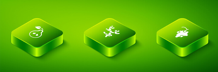 Set Isometric Ginger root, Grape fruit and Pear icon. Vector