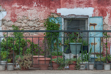 Fototapeta na wymiar Old window with plants in a facade of typical building, Zakynthos island, Greece
