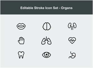 set of icons about organ and body part. vector icons