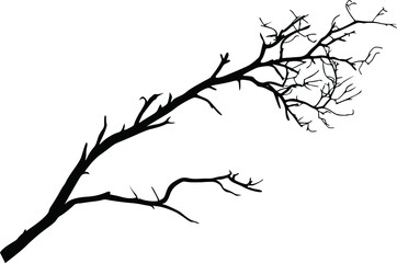 Silhouette of a dry branch