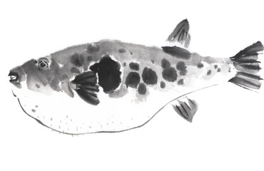 虎河豚　水墨画イラスト © 荒井 克典