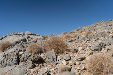 Jebel Jais Mountains 