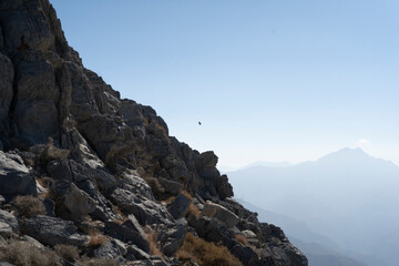 Jebel Jais Mountains 