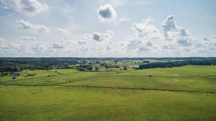 Fototapeta premium Drone view of fields, forests and sky.
