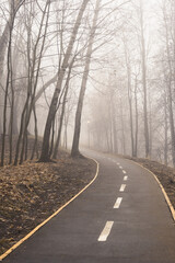 Thick fog on the bike path