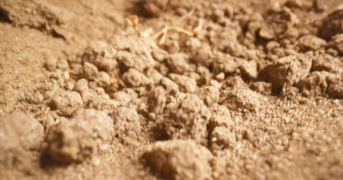 Soil stirring up while earthquake