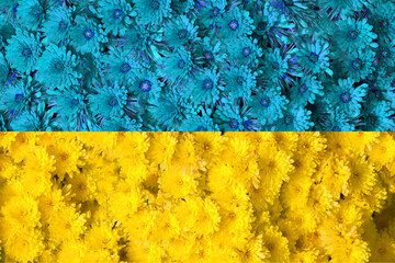 Texture of the national flag of Ukraine. Flower arrangement