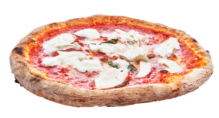  Single margherita italian pizza isolated over white background