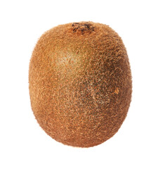  Single kiwi isolated on a white background