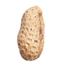  Single peanut with shell isolated on a white background