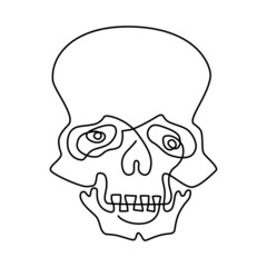 Human skull. Continuous line drawing. Humorous illustration.