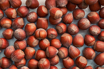 Healthy natural hazelnuts. Raw nuts texture
