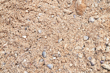 Beautiful ground texture image