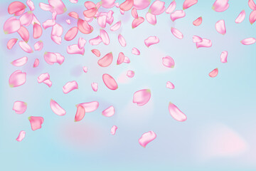 Pink falling sakura petals and flowers.Nature horizontal background.