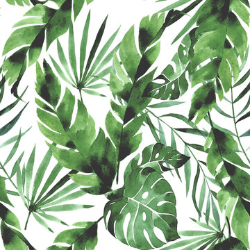 watercolor seamless pattern with tropical green leaves on white background. palm leaves, monstera, banana leaves. rainforests.