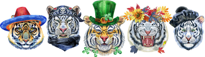 Fototapeta na wymiar Tiger border with various accessories . Wild animal watercolor illustration on white background
