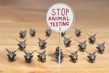 The group of a flies stands with an board with a text Stop Animal Testing.