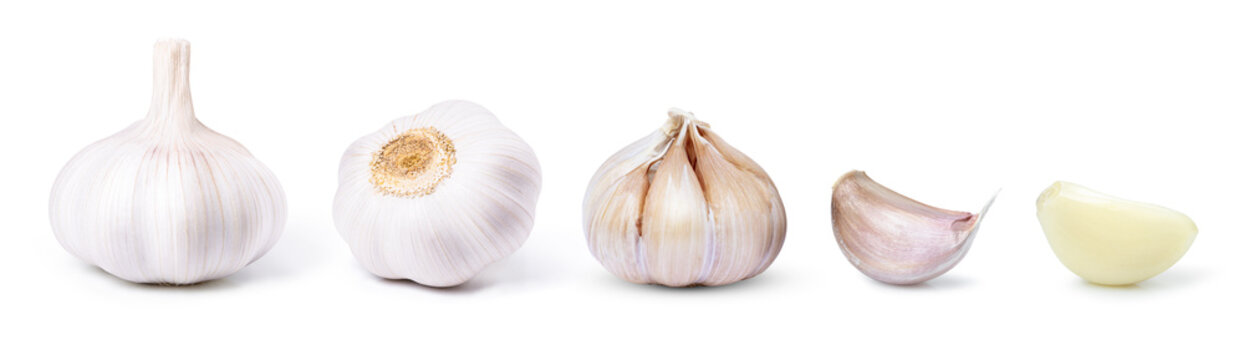 Set of garlic clove and bulb isolated on white background.