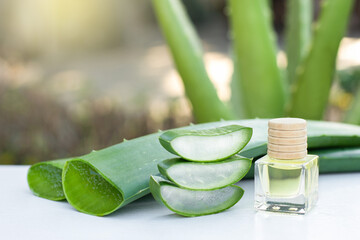 Aloe vera essential oil extract in glass bottle and aloevera plant on white wooden table background.