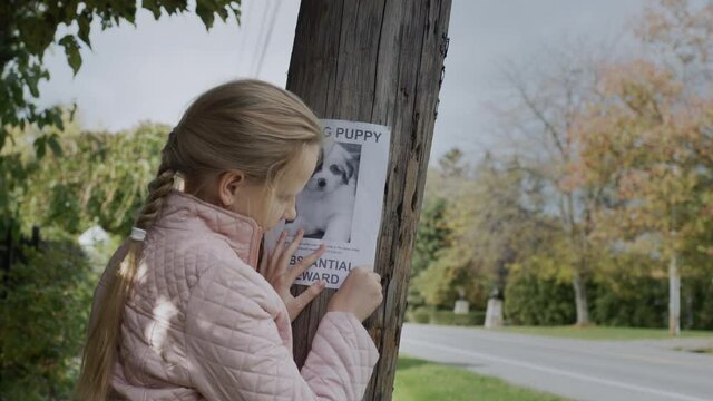A child attaches a leaflet about a missing cat to a pole. Pet Search Concept