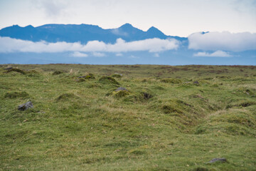 美ヶ原の野原と山