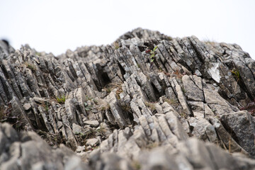 自然に突き出したスレート岩
