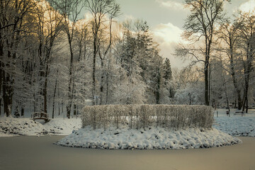 Zamarznięty staw w parku - Jaworze zimą