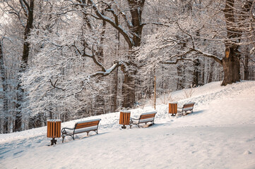Trzy ośnieżone ławki w parku zimą - Jaworze