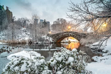 Photo sur Plexiglas Pont de Gapstow Gapstow Bridge dans la tempête de neige de Central Park