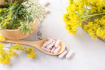 Alternative medicine, naturopathy and dietary supplement. Herbal remedy in capsules and plants