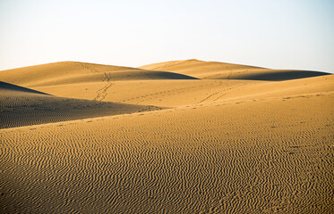 The Maspalomas Dunes