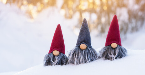 Three gnomes in fresh snow against bokeh background lit by the low angle winter sun.