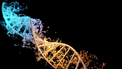 High quality colorful DNA molecule with particle cells around in black background. Medical technology presentation. 3d simulation and render.