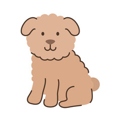 fluffy little dog cute