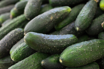 cucumbers on market counter in wicker basket